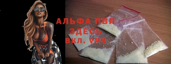 молекула духа Вяземский