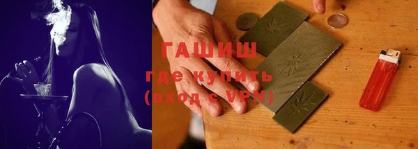 молекула духа Вяземский