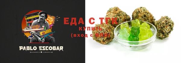 молекула духа Вяземский