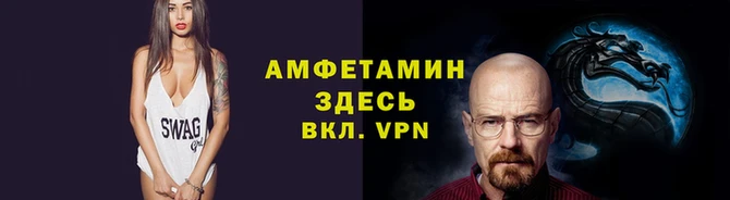 молекула духа Вяземский