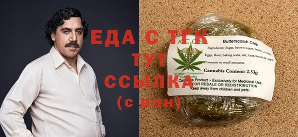 молекула духа Вяземский