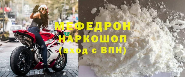 молекула духа Вяземский