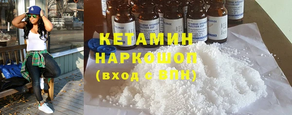 молекула духа Вяземский