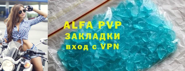 молекула духа Вяземский