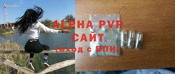 молекула духа Вяземский