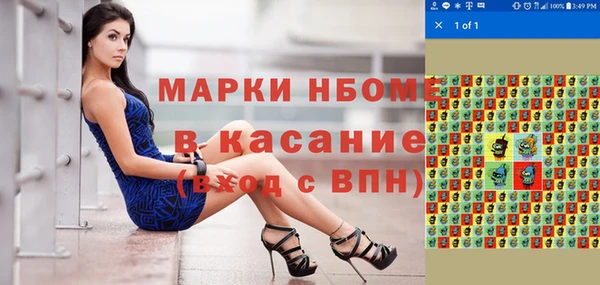 молекула духа Вяземский