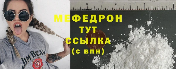 молекула духа Вяземский