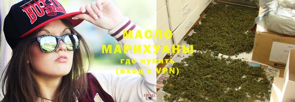 молекула духа Вяземский