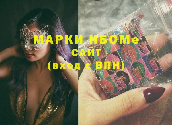 молекула духа Вяземский