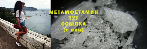 молекула духа Вяземский
