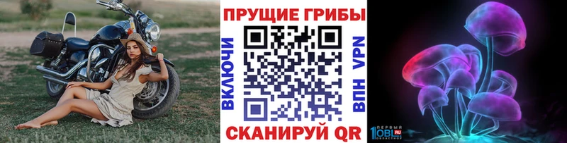 KRAKEN ССЫЛКА  Александровское  Галлюциногенные грибы мицелий  купить наркоту 